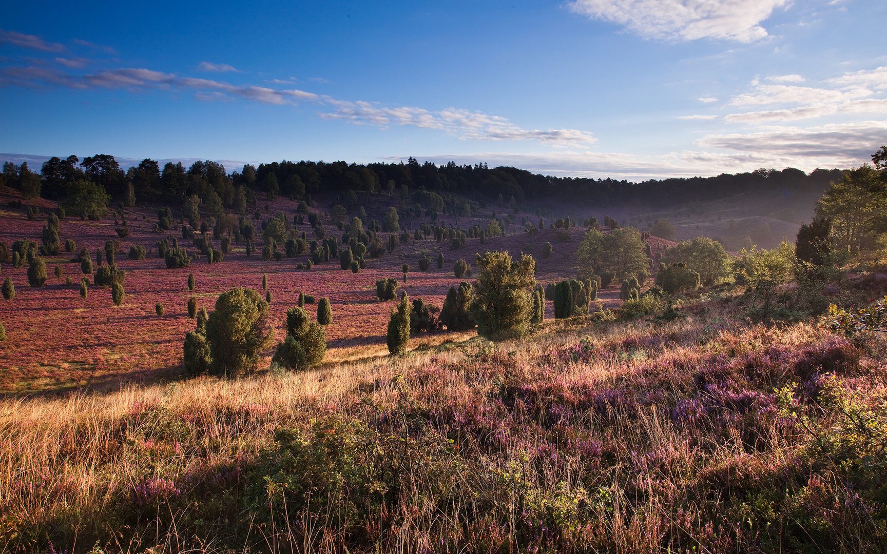 Totengrund, Lüneburger Heide I