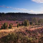 Totengrund, Lüneburger Heide I