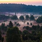 Totengrund - Nebel zieht durch das Tal