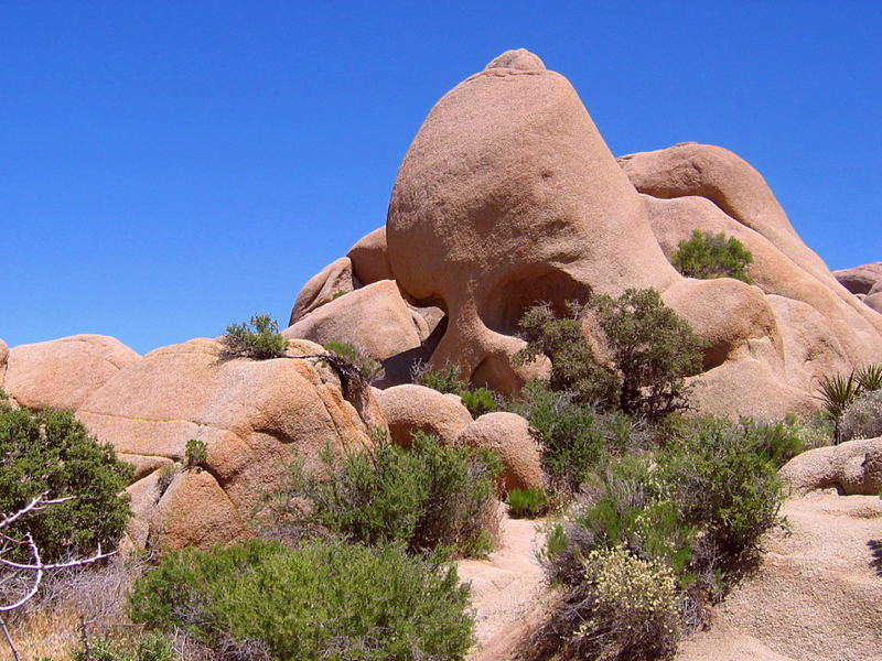 Totenkopf in Granit I