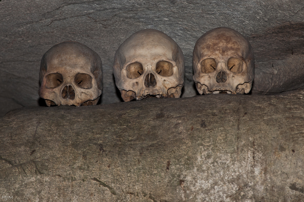 Totenkult der Toraja