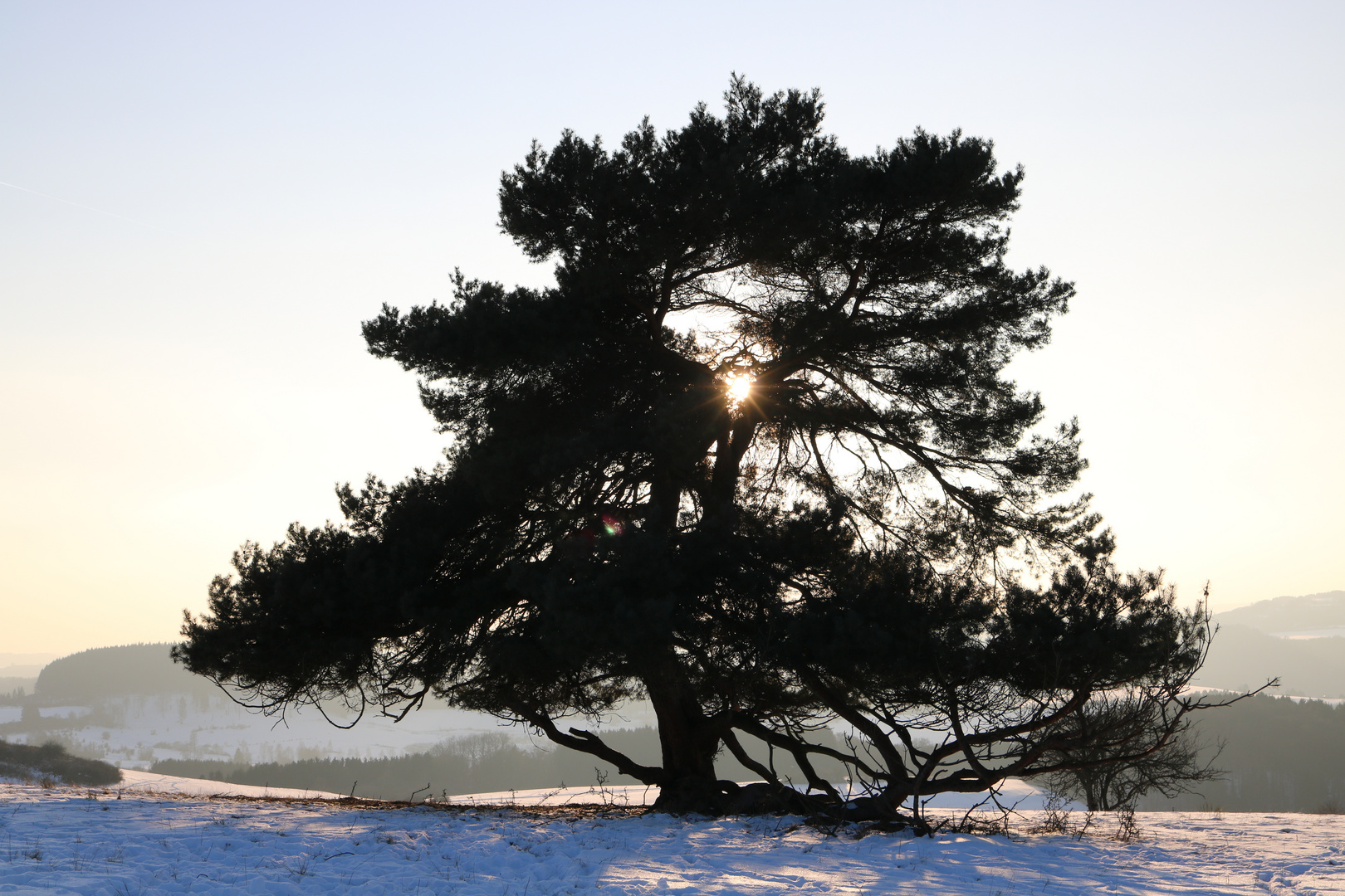 Totenmaar in der Eifel