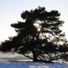 Totenmaar in der Eifel