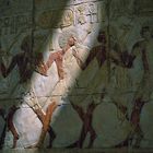 Totentempel der Hatshepsut, die Expedition nach Punt