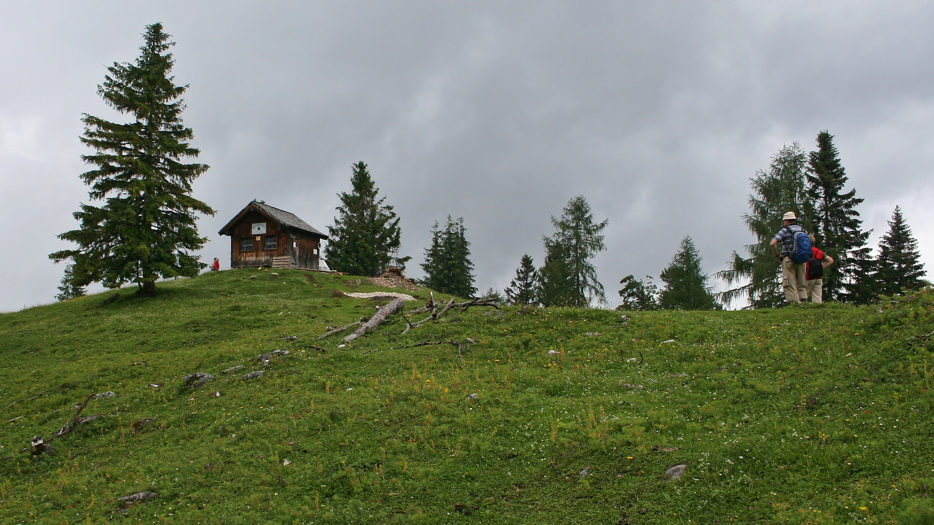 Toter Mann, 1391 m (IMG_5514_ji)