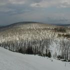 Toter Wald am Lusen