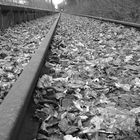 Totes Gleis in Lebenstedt