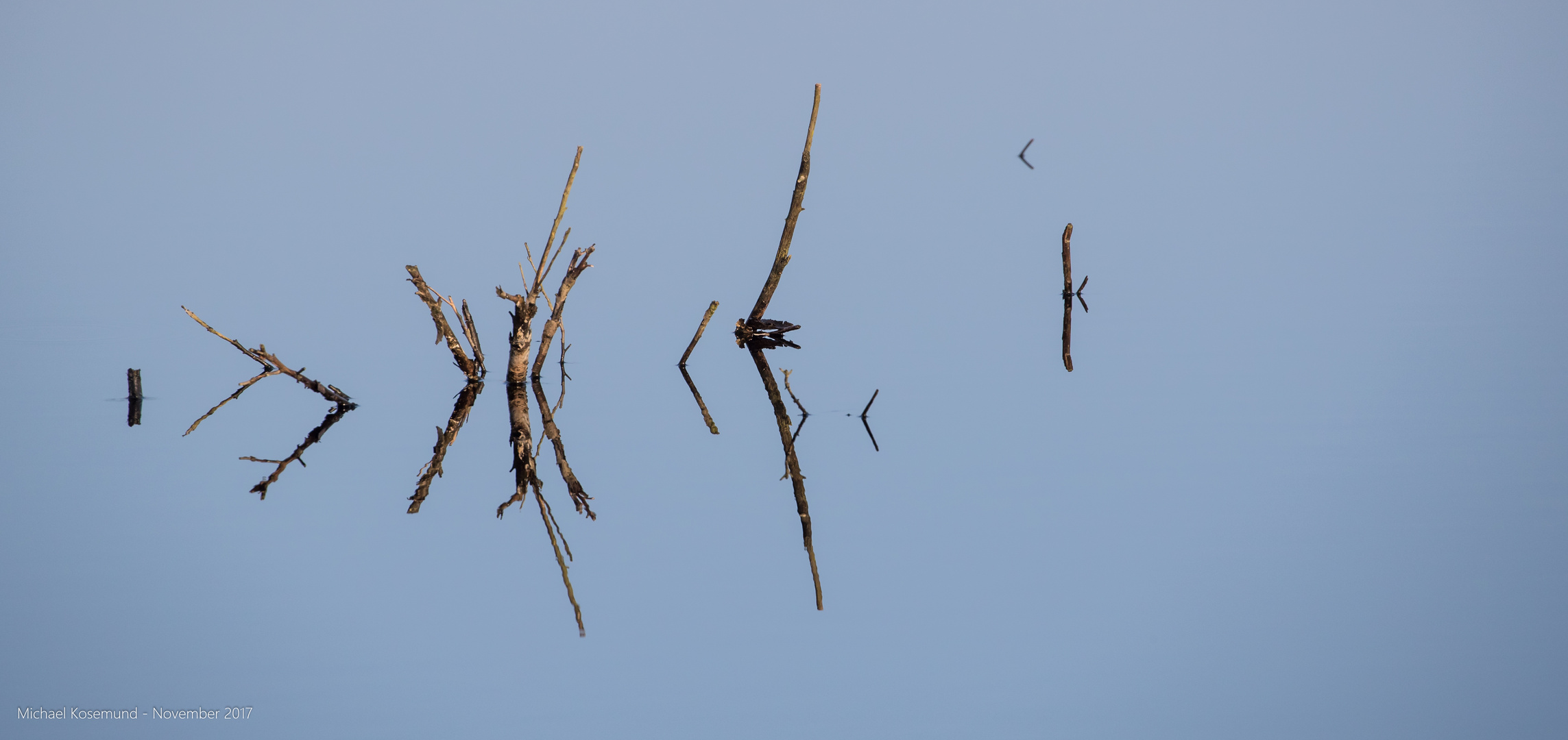 Totes Holz im Moor oder unbekannte Schriftzeichen?