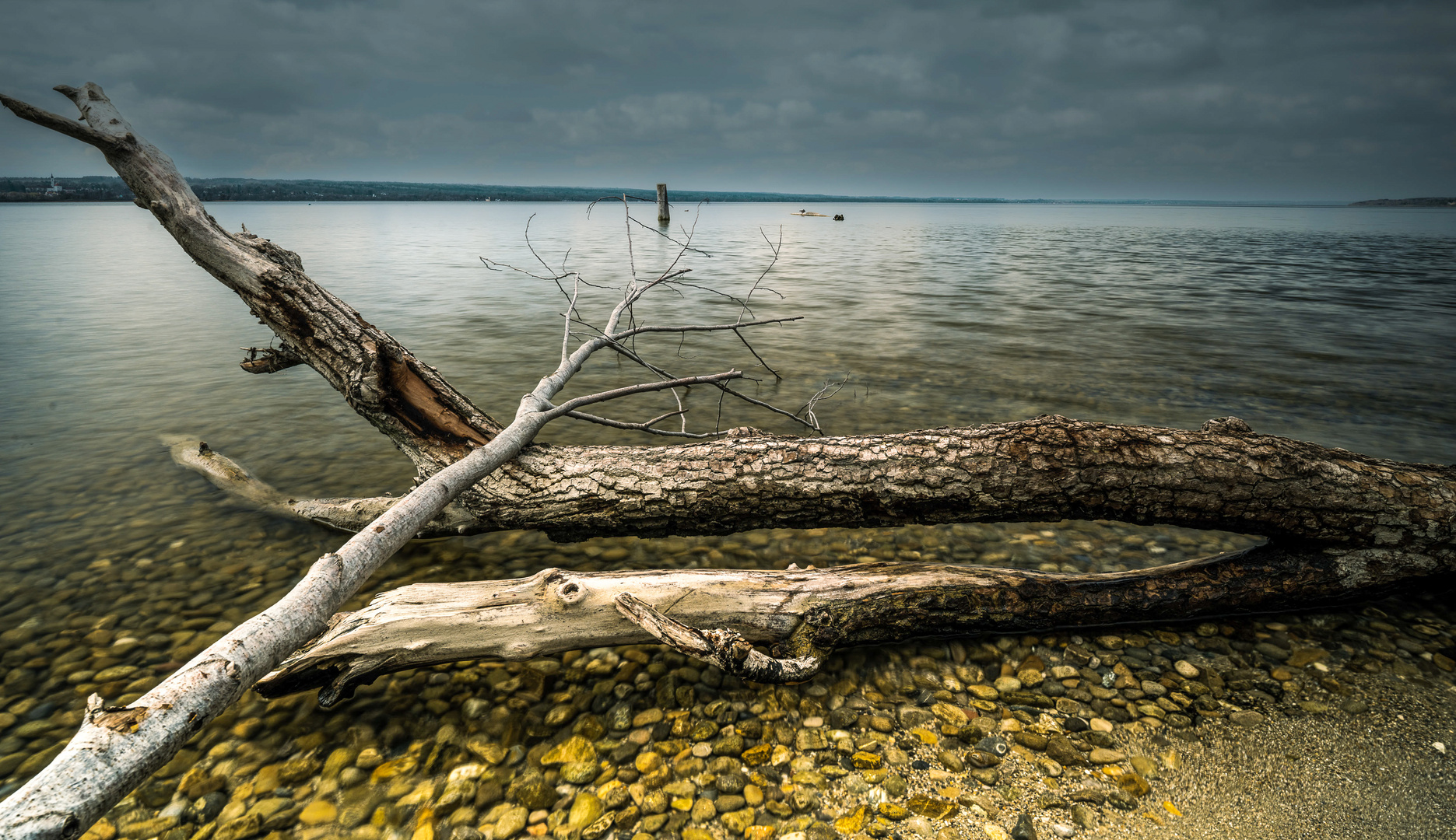 Totholz am Ammersee