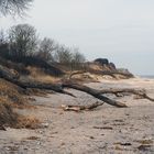 Totholz am Strand