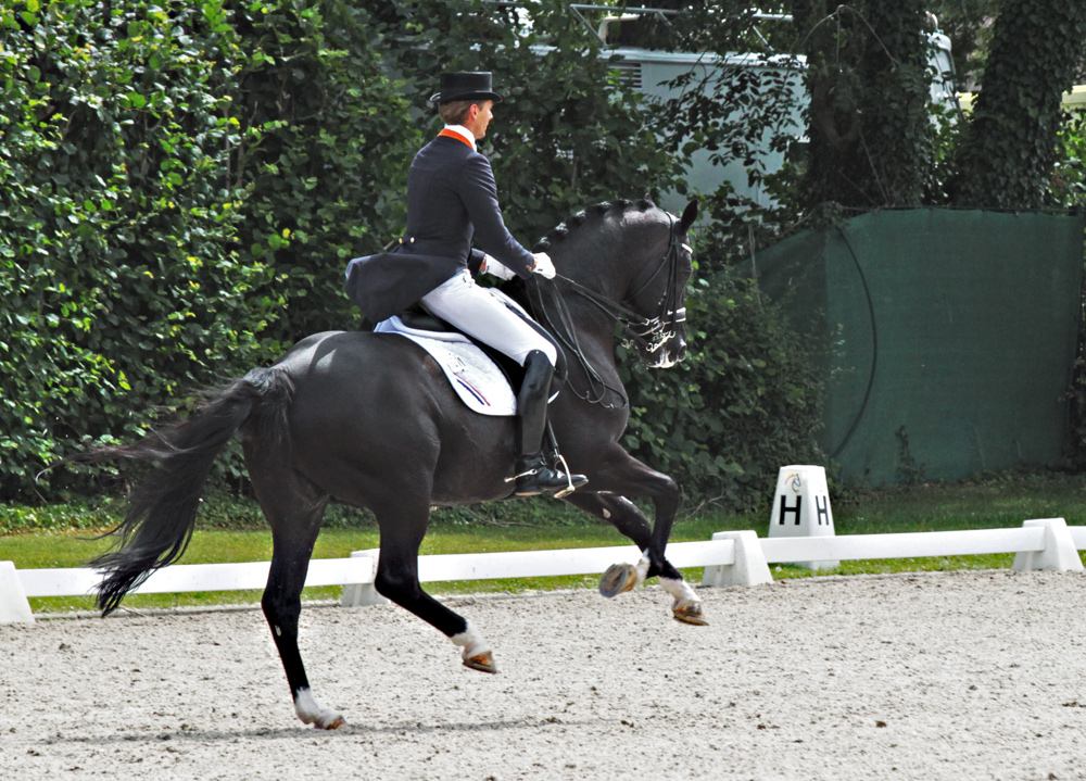 Totilas mit Edward Gal im starken Galopp