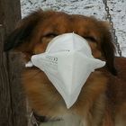 Toto mit Maske