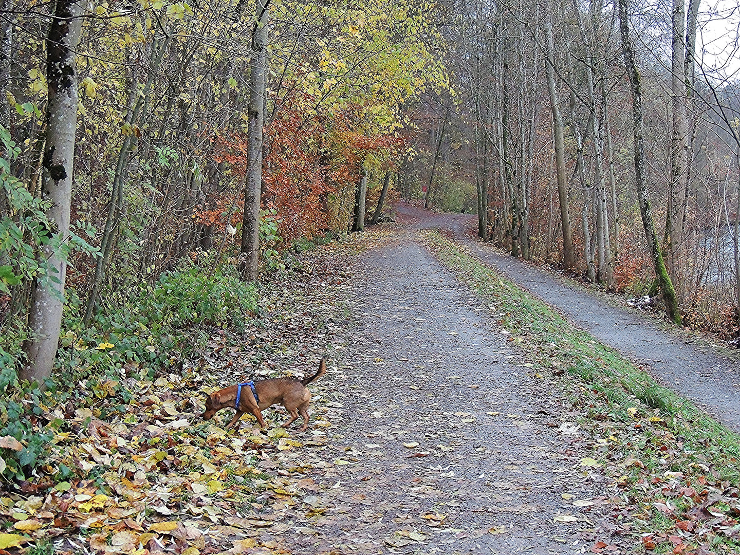 Totti und der Weg