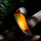 Toucan à Iguaçu - Brésil