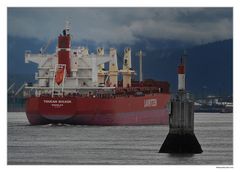 Toucan Bulker in Vancouver