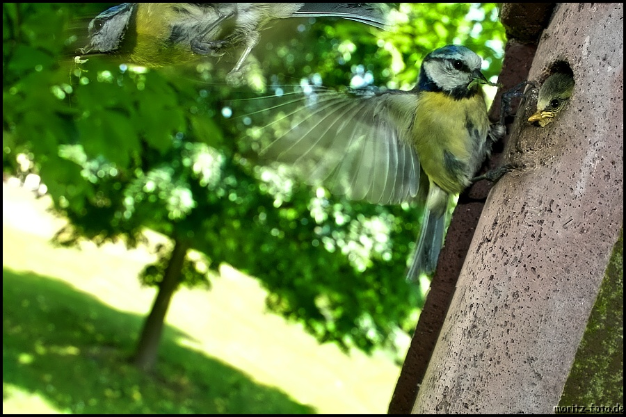 Touch and GO...eltern im Stress