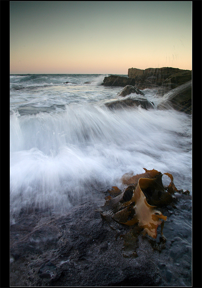 Touch of the ocean...