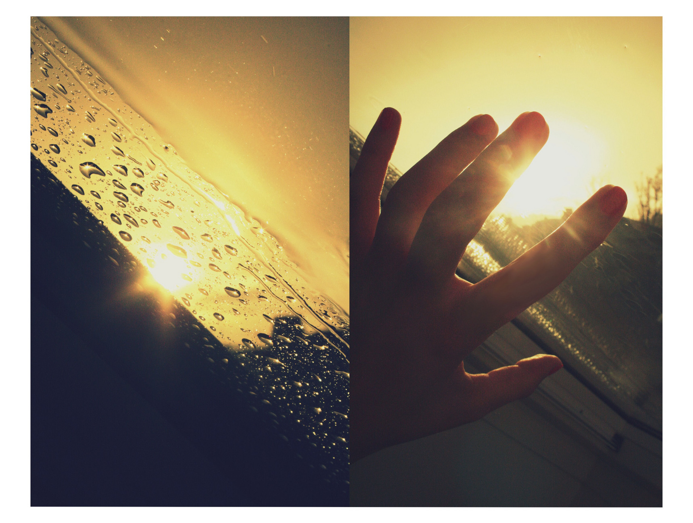 touch the sun.