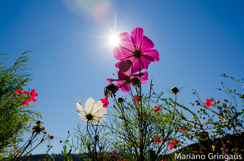 Touched by the Sun