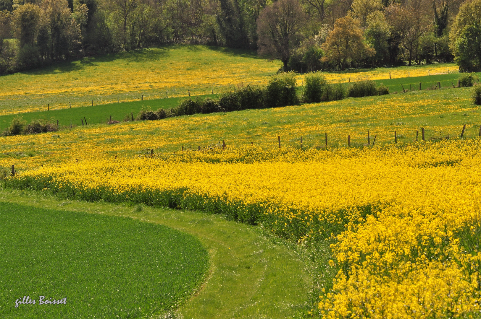 touches de printemps dans le Véxin normand