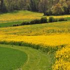 touches de printemps dans le Véxin normand