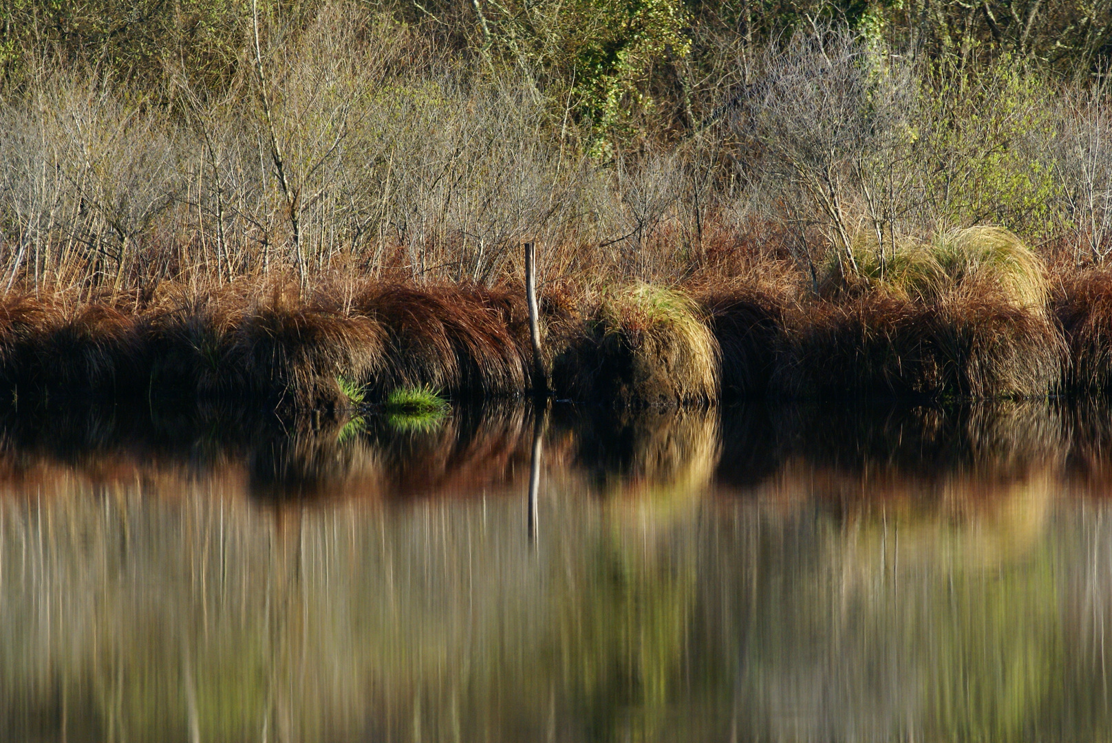 toujours au bord de l'eau