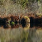 toujours au bord de l'eau