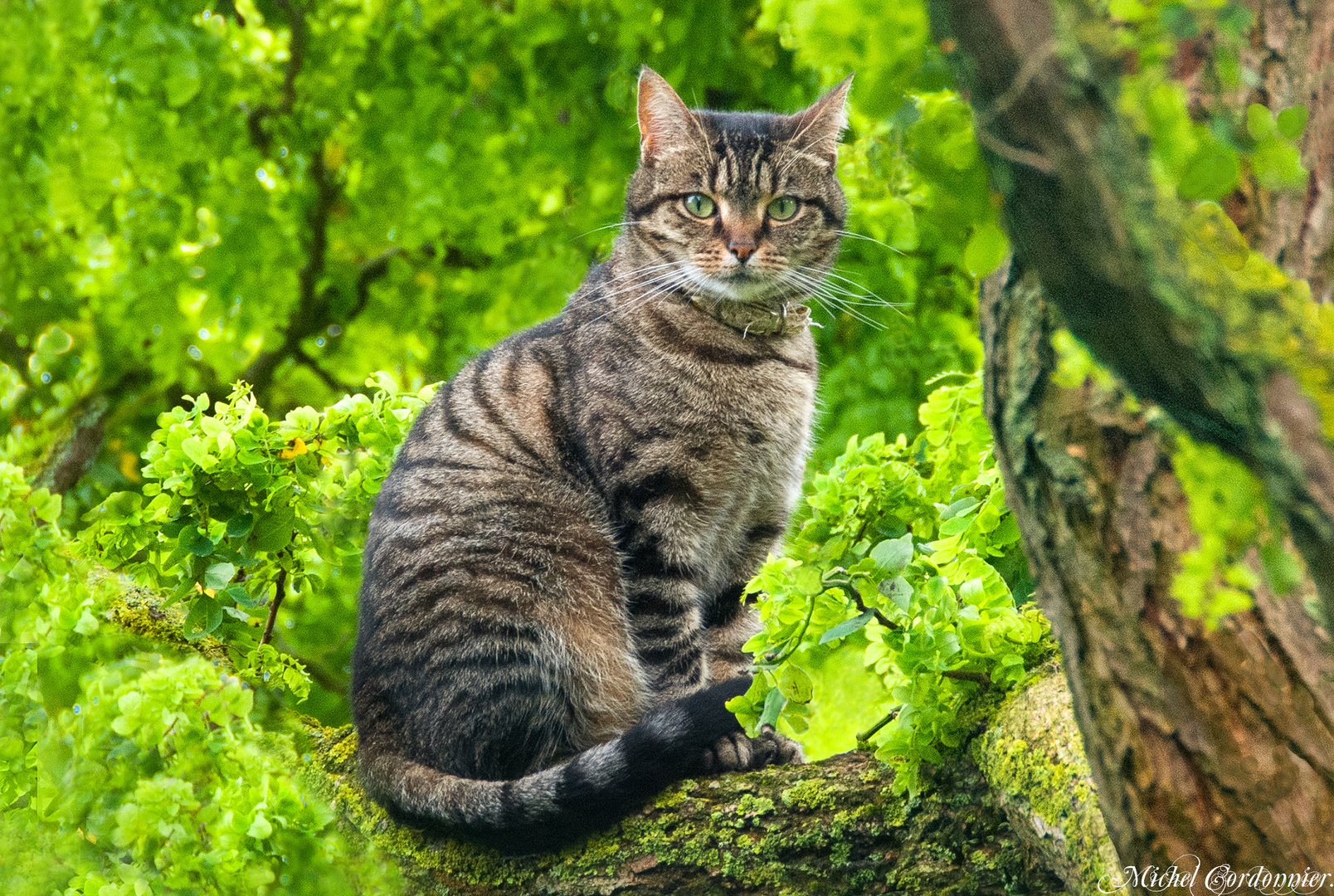 toujours.... branchée !