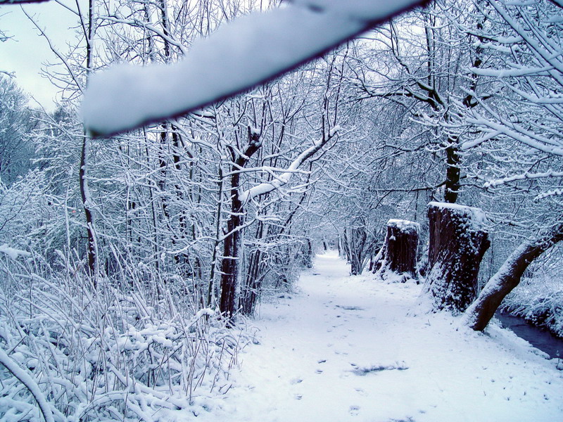 Toujours le chemin effacé...