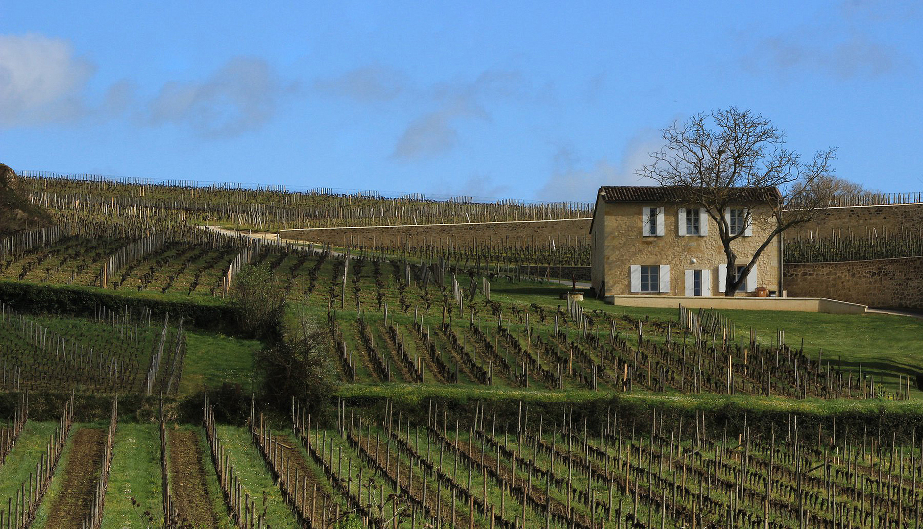 Toujours le Vin Sent son Terroir.........