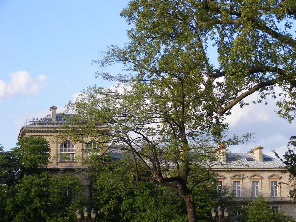 toujours paris