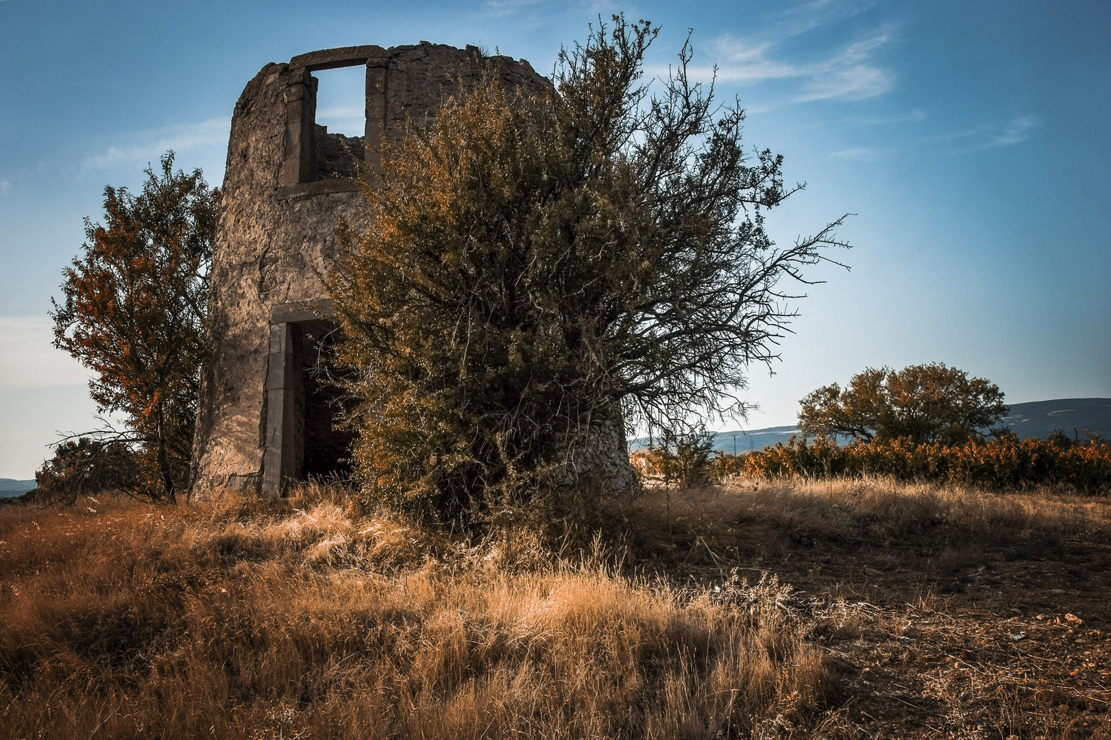 Toujours présent - Moulin de Sainte Anne à Villegly (Aude)