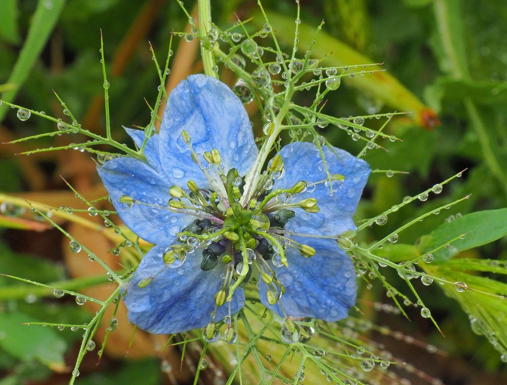 Toujours sous la pluie mais ouverte cette fois…