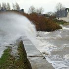 Toujours sur le pont de la Saire dans le Cotentin ( 2 sur 3 )