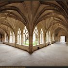 Toul, Collégiale Saint-Gengoult, Cloître (Kreuzgang der Stiftskirche St. Gengoult), Ansicht von SSO