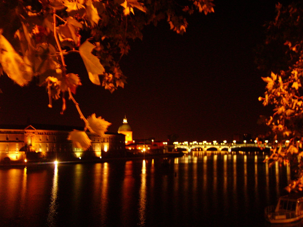 toulouse by night