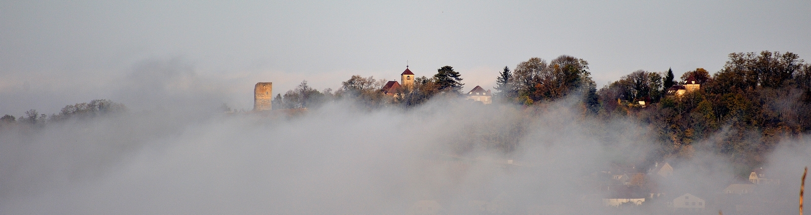 Toulouse le château dans la brume