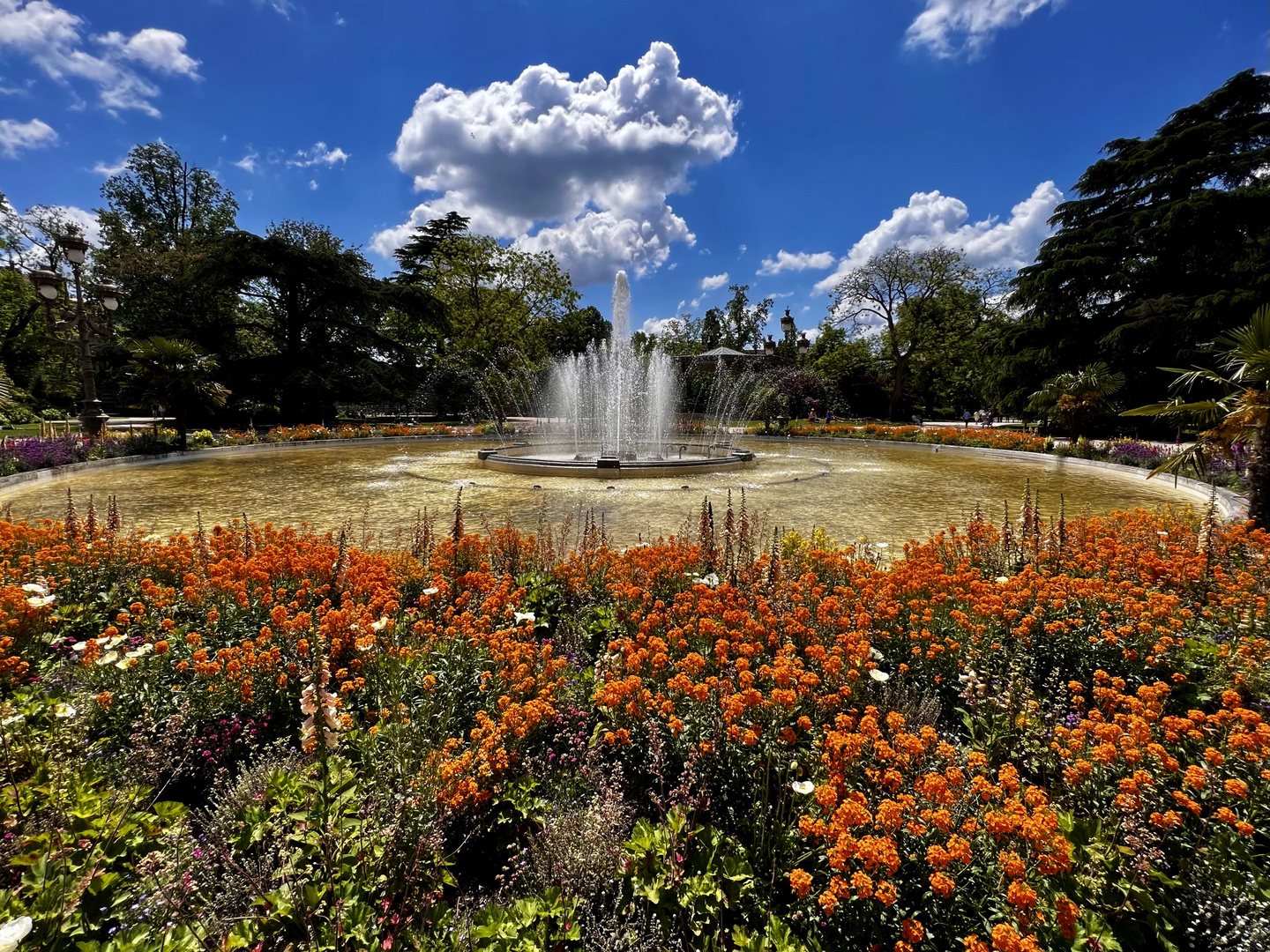 Toulouse Parks.....