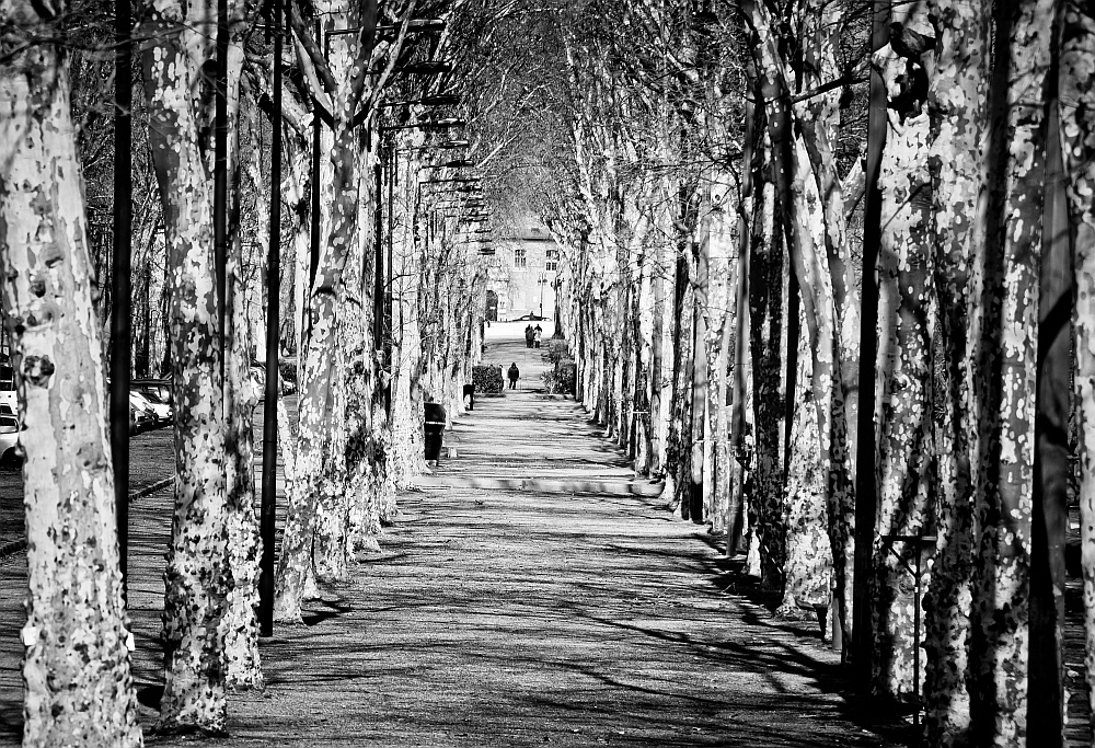 Toulouse St.Cyprien