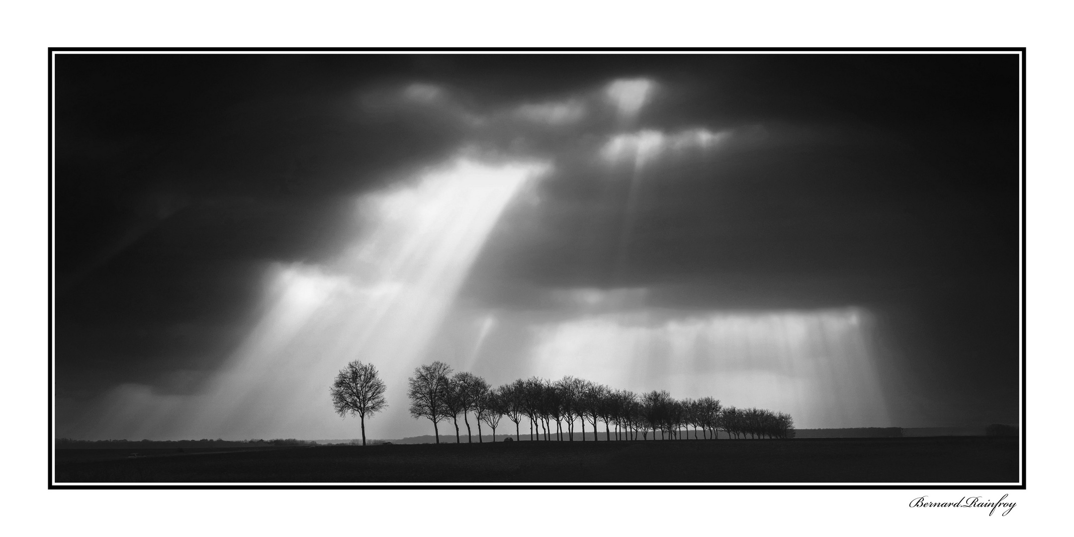 toumenté noir et blanc