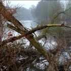 Tour an der Ruhr (2) - Hochwasserspuren