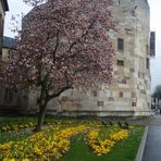 "Tour aux Puces" del XI - XII Siécle...(Città di Thionville - Moselle- F -)