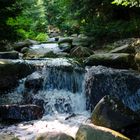 Tour Berlin - Steinbergpark