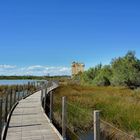 Tour Carbonniere - Aigues Mortes