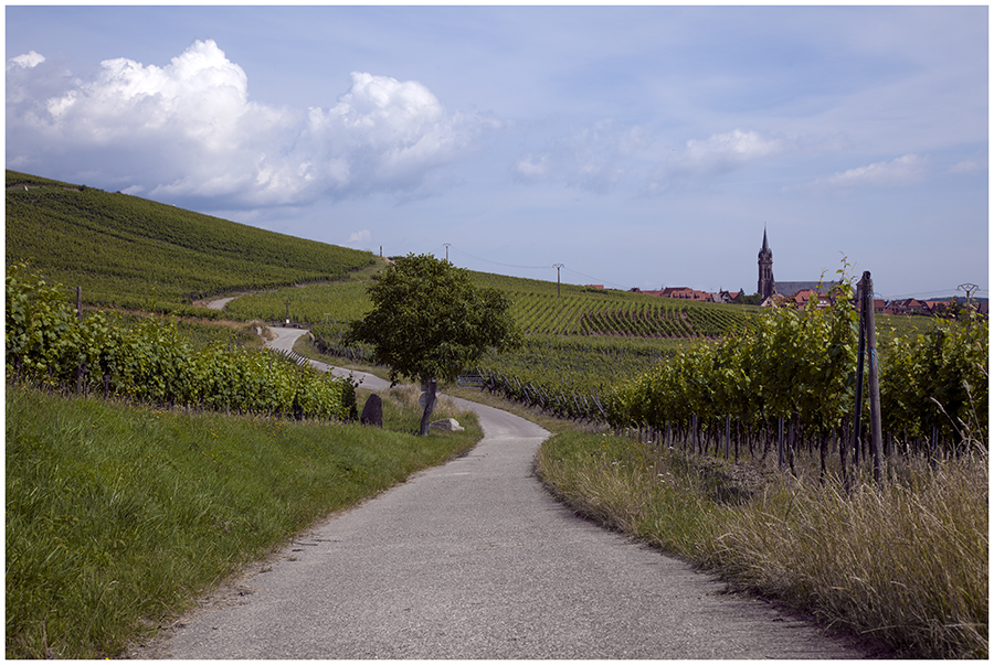 Tour d'Alsace :-)