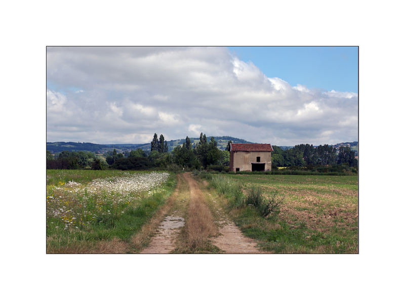 Tour de France (1)