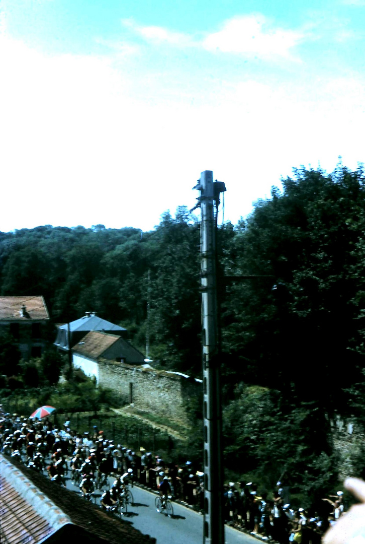 Tour de France 1964 (1)