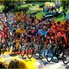 Tour de France 2012 - 1ère étape Liège-Seraing à Hody-Anthisnes