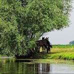 Tour de Niers