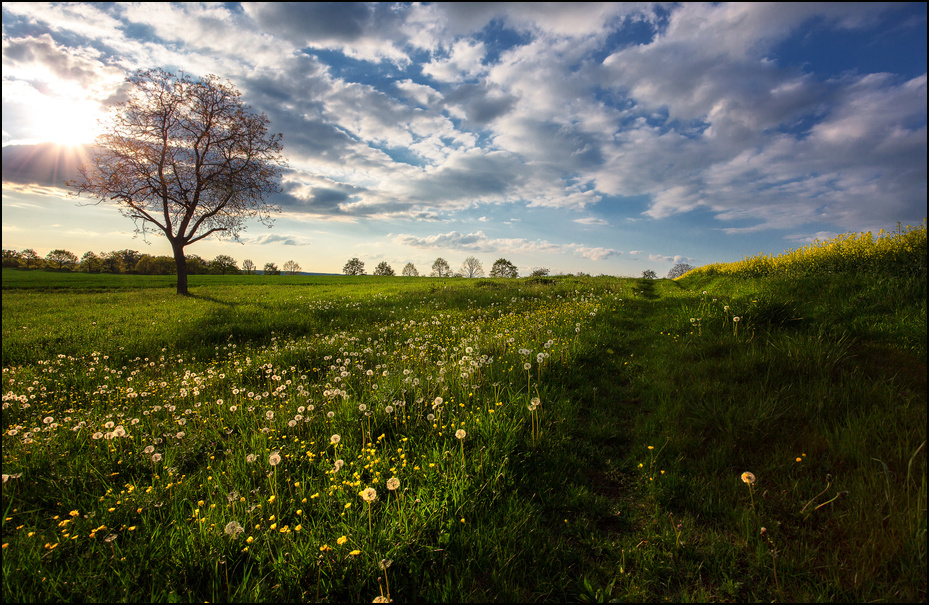 Tour de printemps